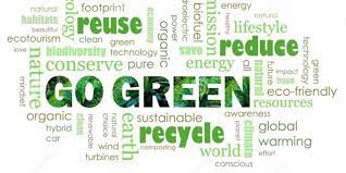 eco-conscious