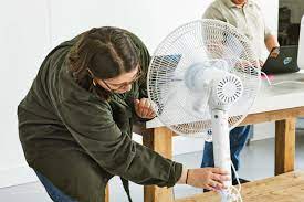 fans